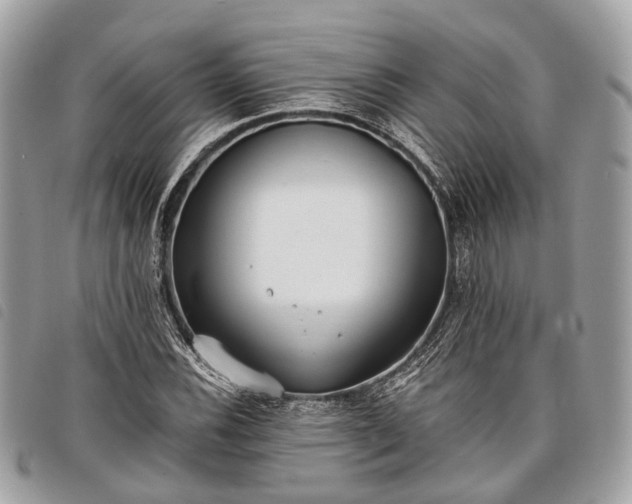 X0000098051116200804071500