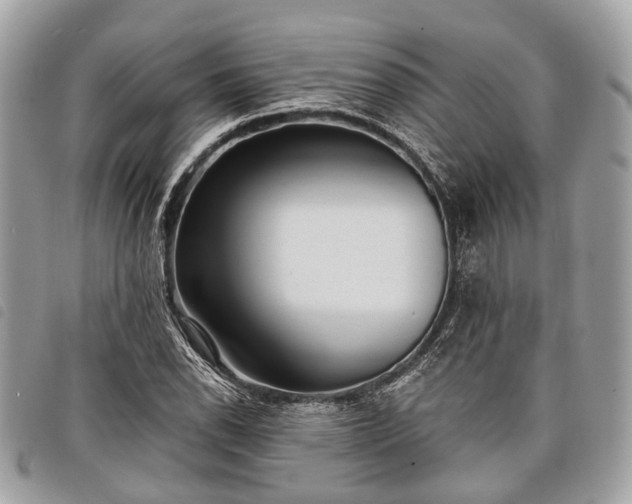 X0000098051118200804071500