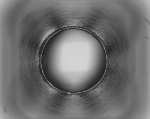 X0000098051119200804071500