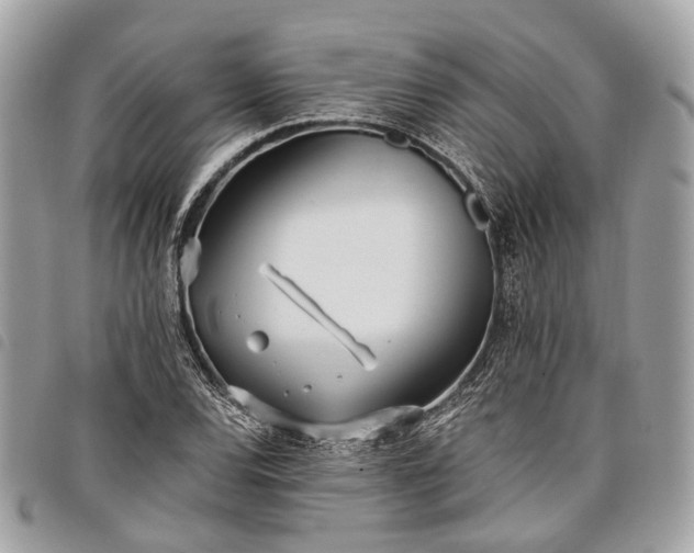 X0000098051120200804071500