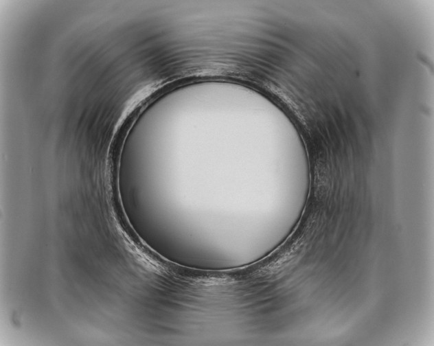 X0000098051122200804071500