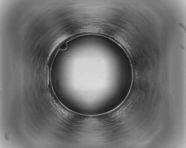 X0000098051123200804071500