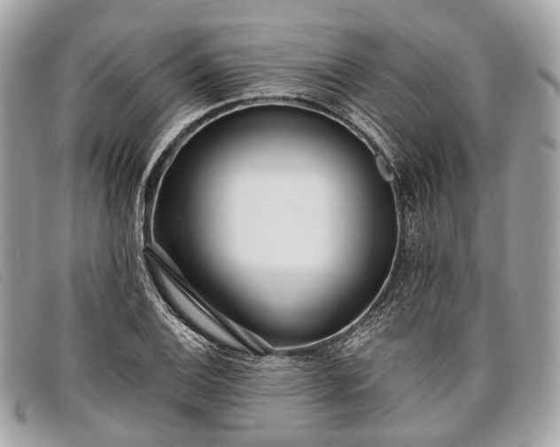 X0000098051124200804071500