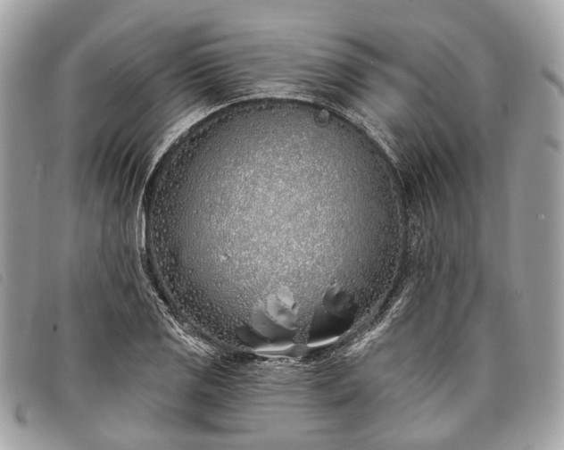 X0000098051125200804071500