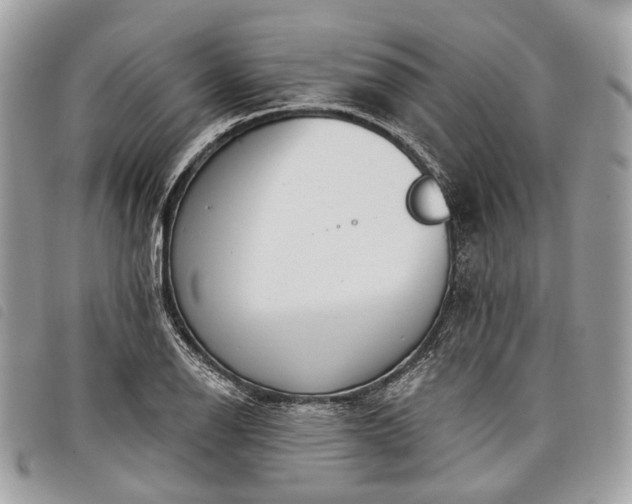 X0000098051126200804071500