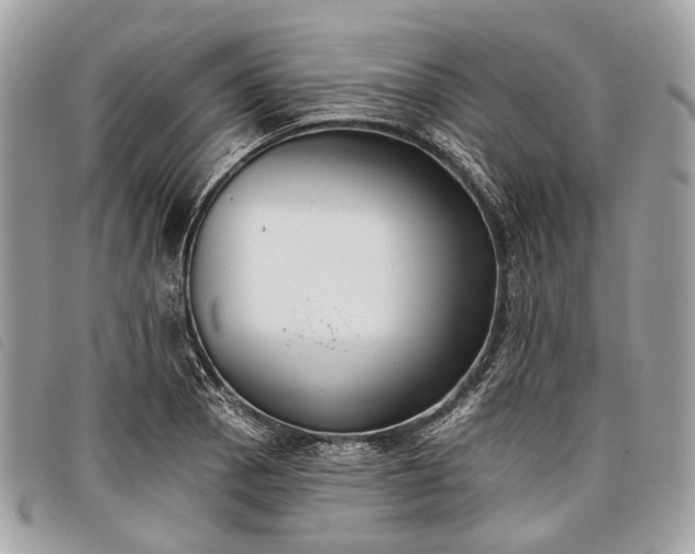 X0000098051129200804071500