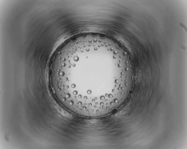 X0000098051130200804071500