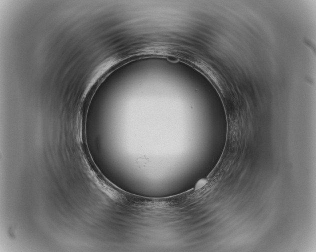 X0000098051131200804071500