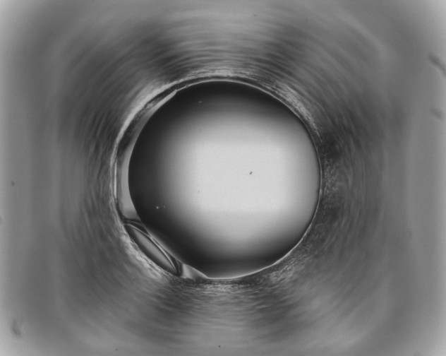 X0000098051132200804071500