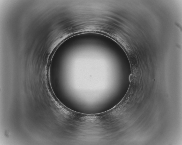 X0000098051134200804071500