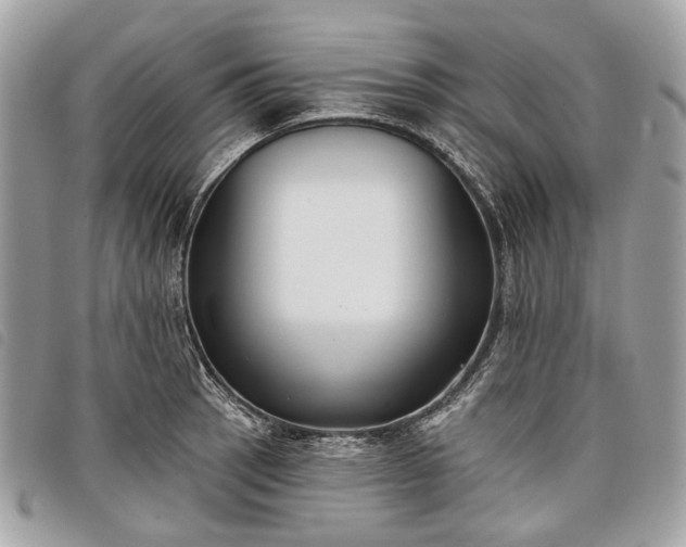 X0000098051137200804071500