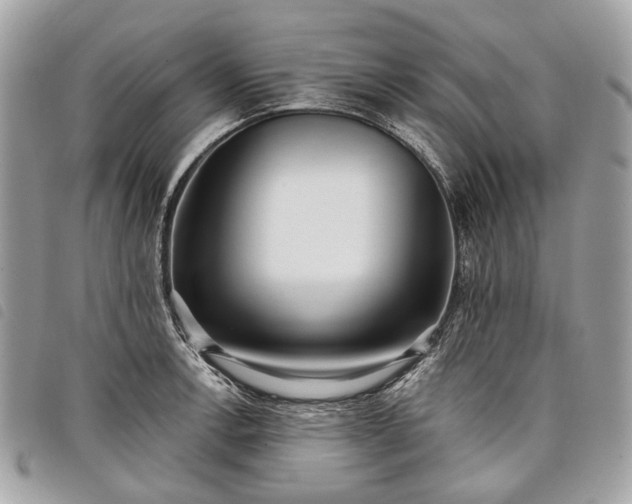 X0000098051138200804071501