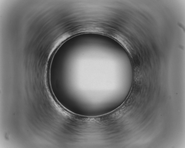 X0000098051139200804071501