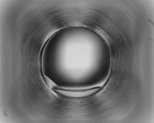 X0000098051141200804071501