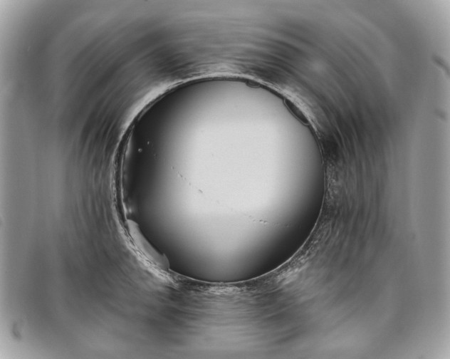 X0000098051142200804071501