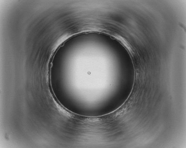 X0000098051143200804071501