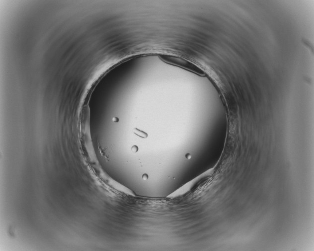 X0000098051144200804071501