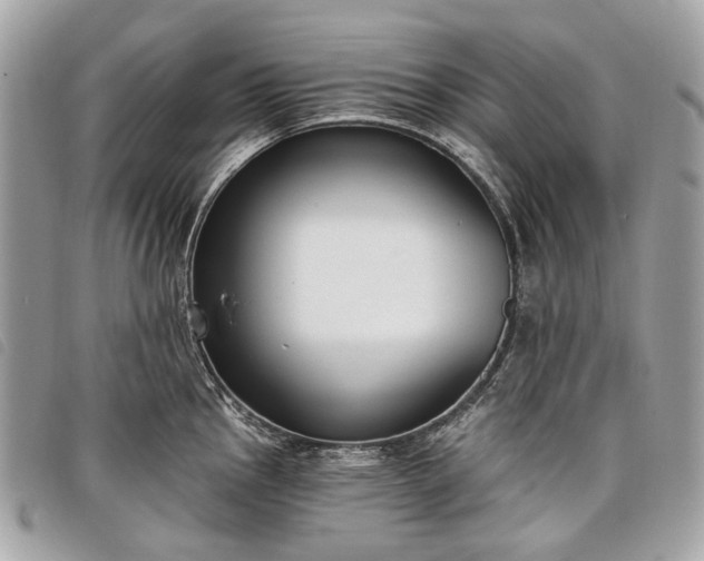 X0000098051145200804071501