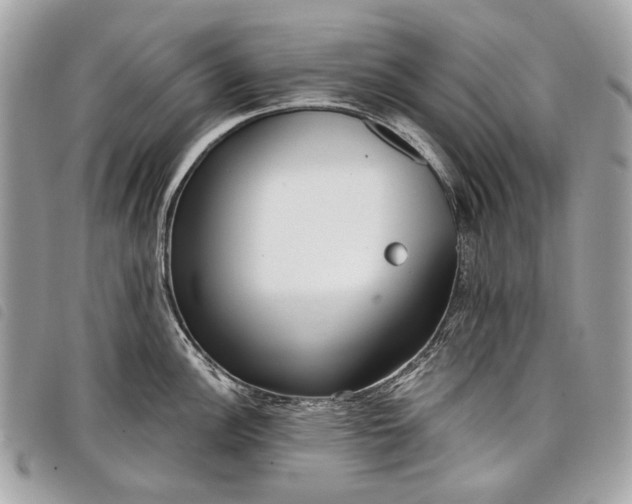 X0000098051148200804071501