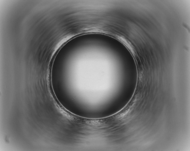 X0000098051149200804071501