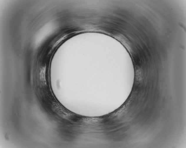 X0000098051150200804071501