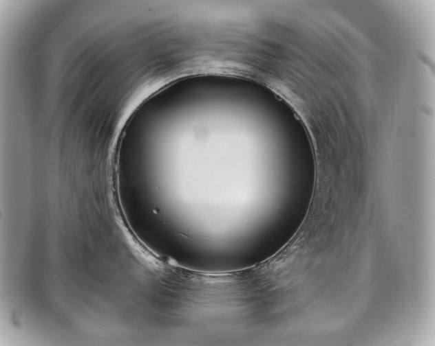 X0000098051152200804071501