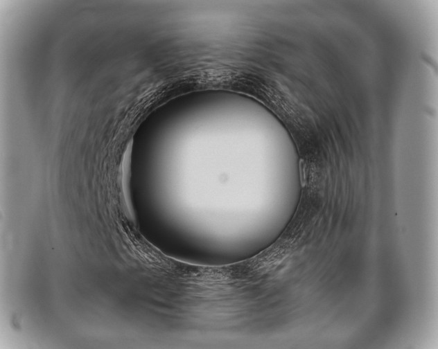 X0000098051153200804071500