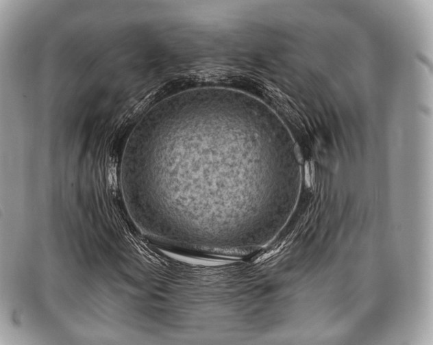 X0000098051155200804071500