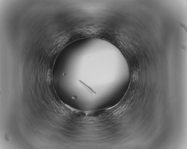 X0000098051156200804071500