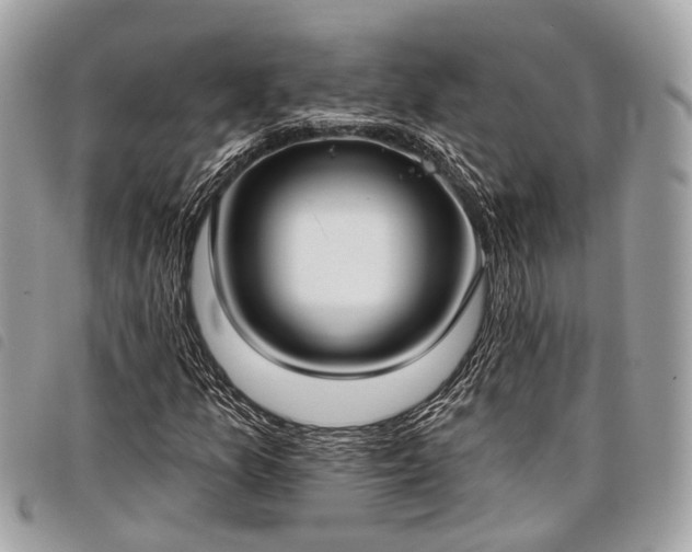 X0000098051157200804071500