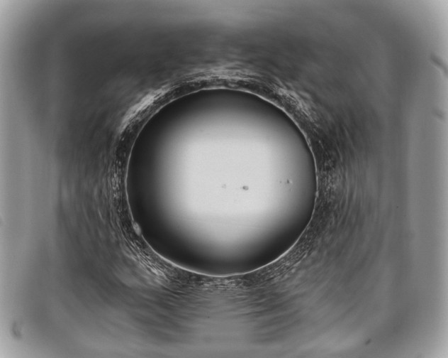 X0000098051159200804071500