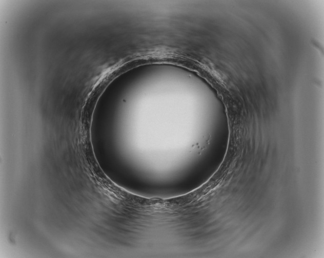 X0000098051160200804071500