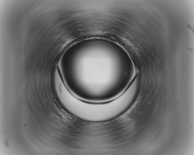 X0000098051161200804071500