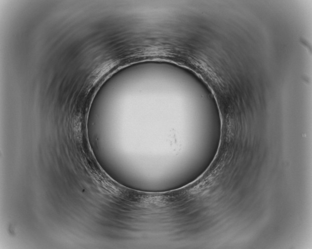 X0000098051162200804071500