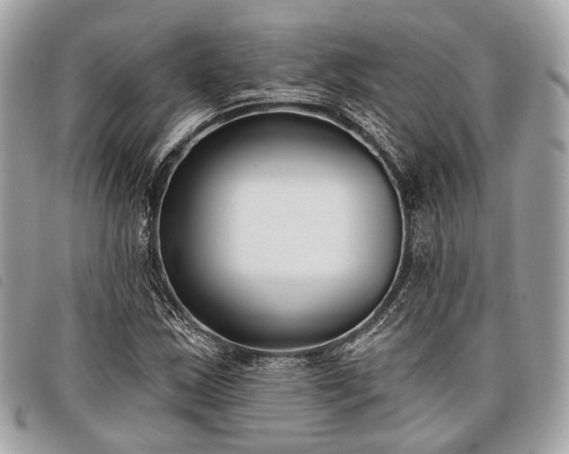 X0000098051163200804071500