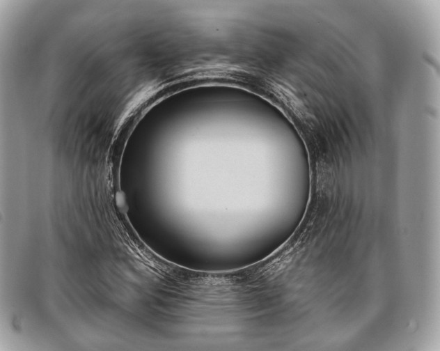 X0000098051164200804071500