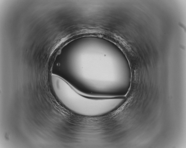 X0000098051165200804071500