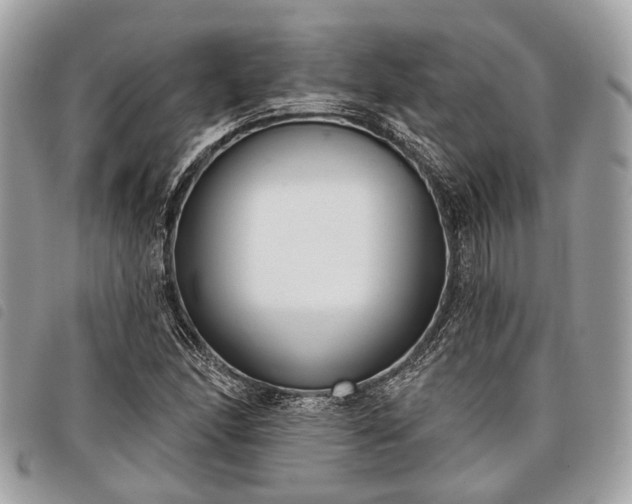 X0000098051166200804071500