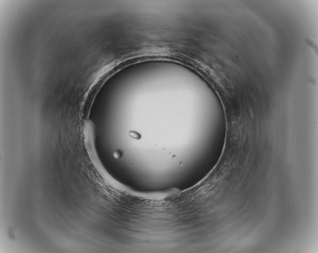 X0000098051168200804071500