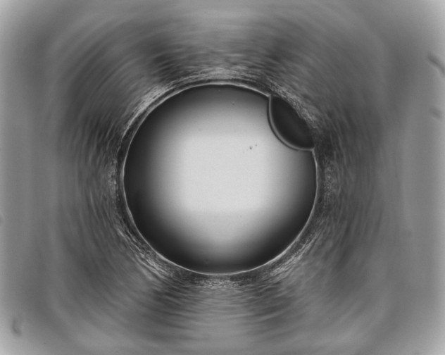 X0000098051170200804071500