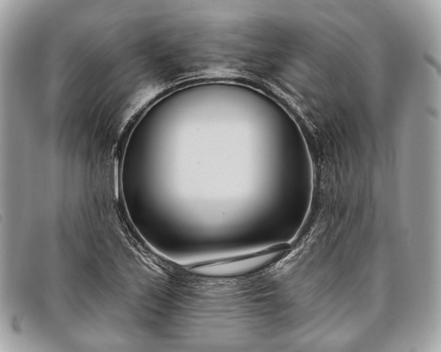 X0000098051171200804071500