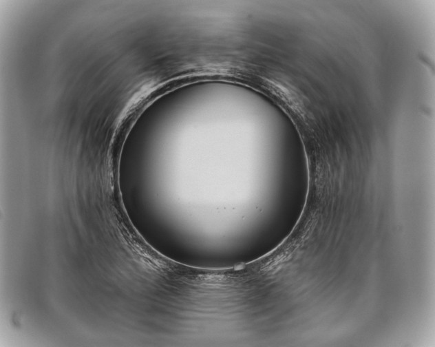 X0000098051172200804071500