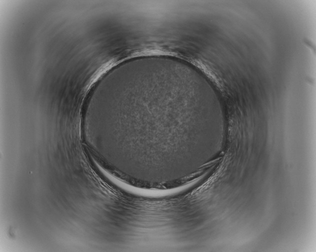 X0000098051173200804071500