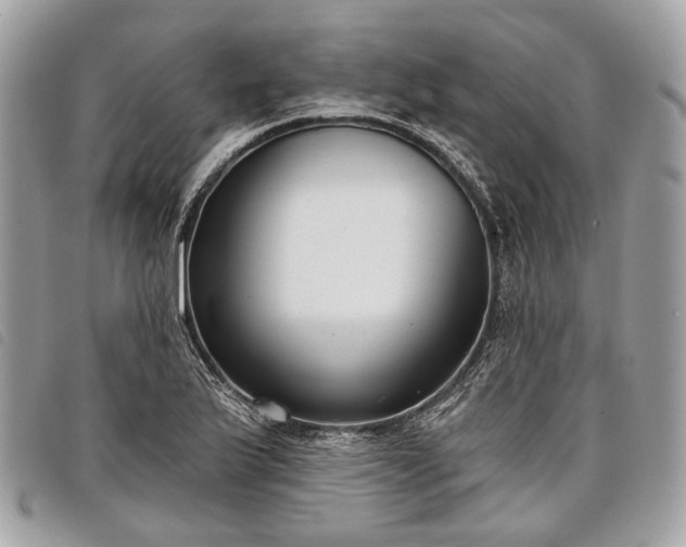 X0000098051175200804071500