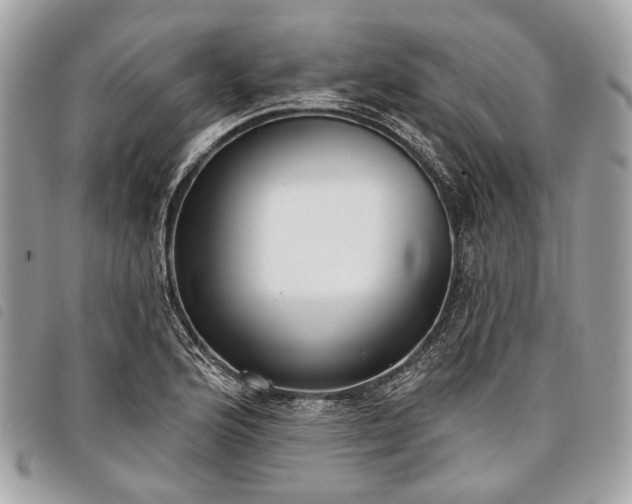 X0000098051176200804071500