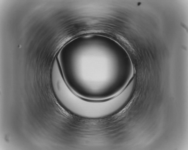 X0000098051177200804071500