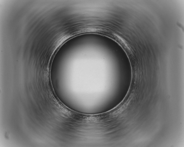 X0000098051178200804071500