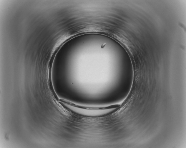 X0000098051179200804071500