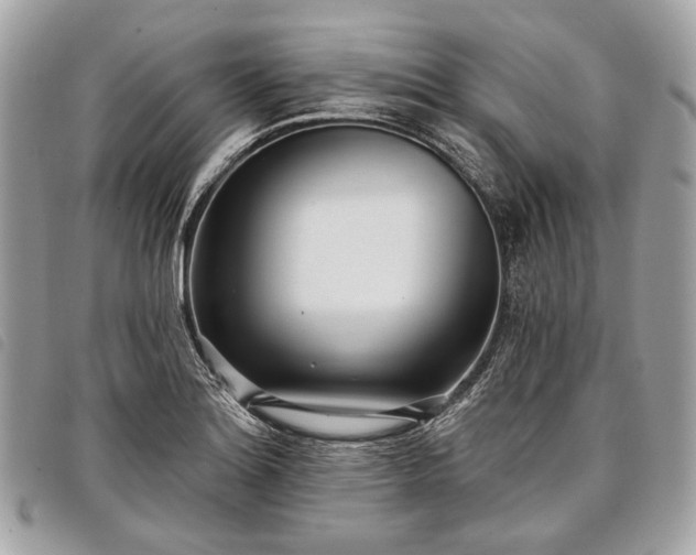 X0000098051180200804071500