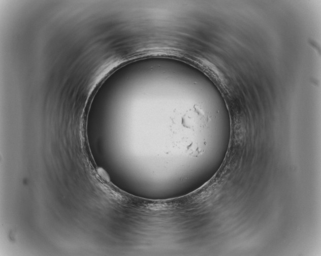 X0000098051182200804071500